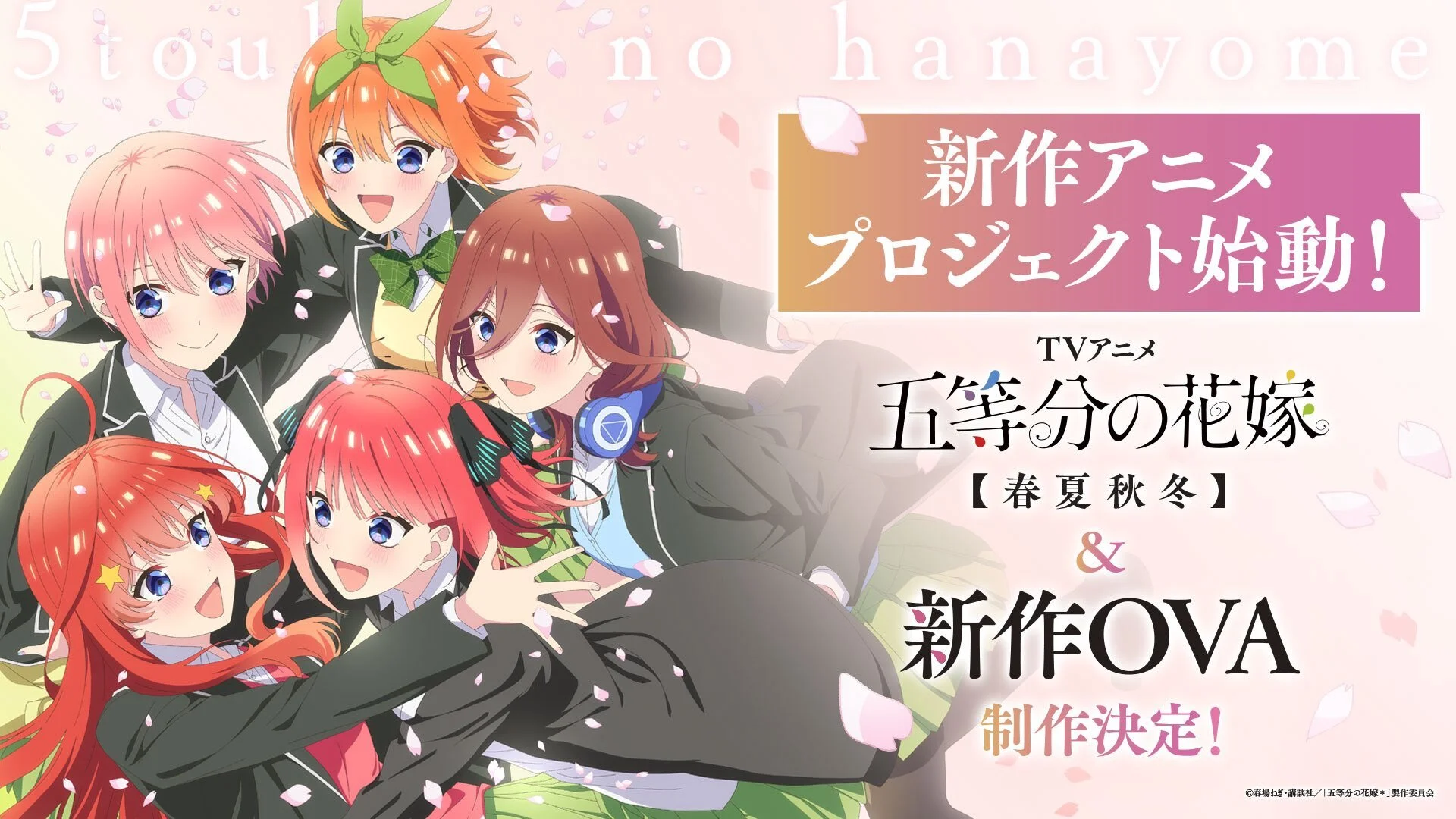 《五等分的新娘》全新动画「春夏秋冬」官宣！高中最后一年的温馨日常即将动画化