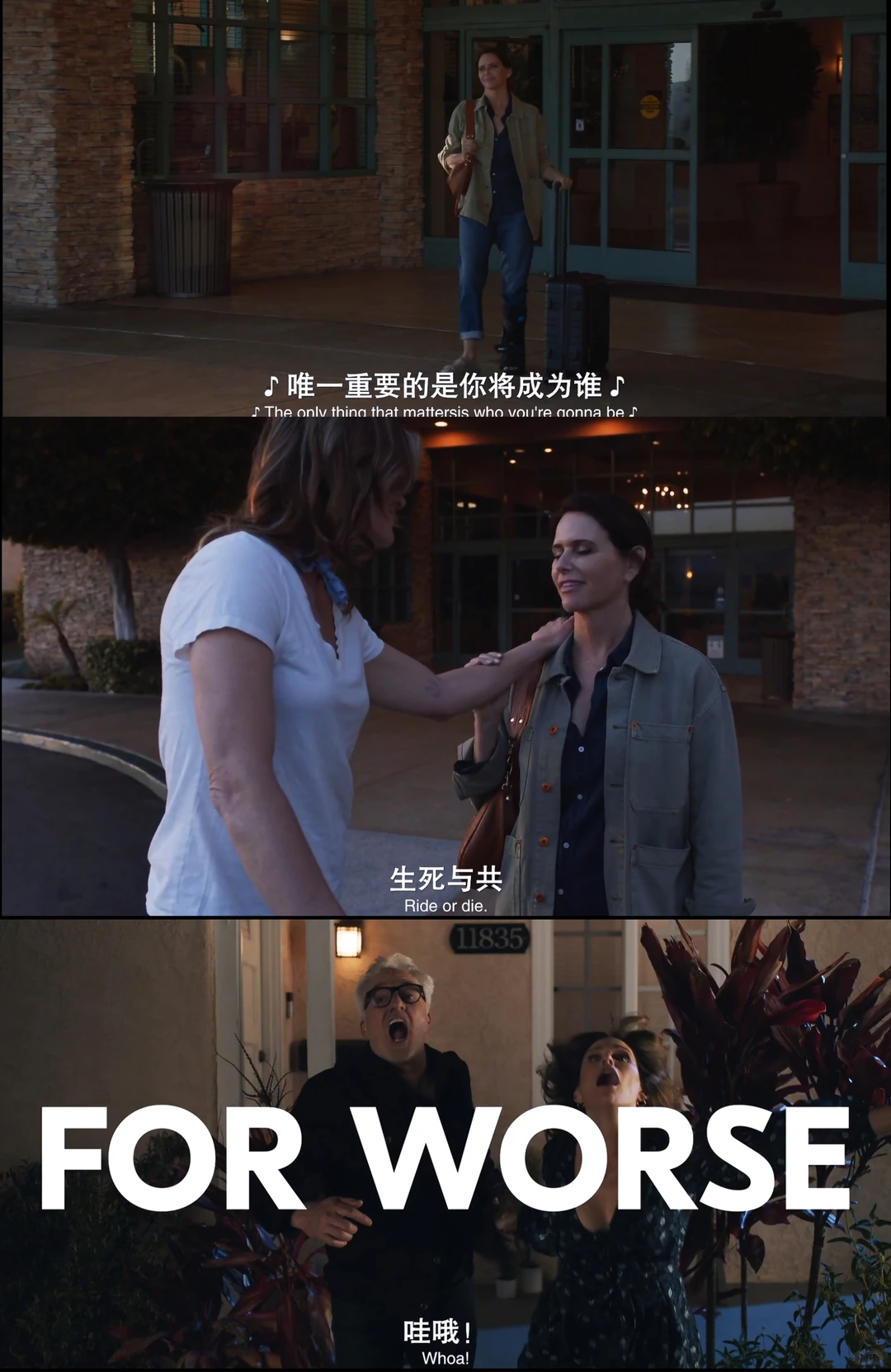 从《囍劫良缘》看美式治愈：当50岁离婚女性闯入年轻人的婚礼，她收获的不只是爱情