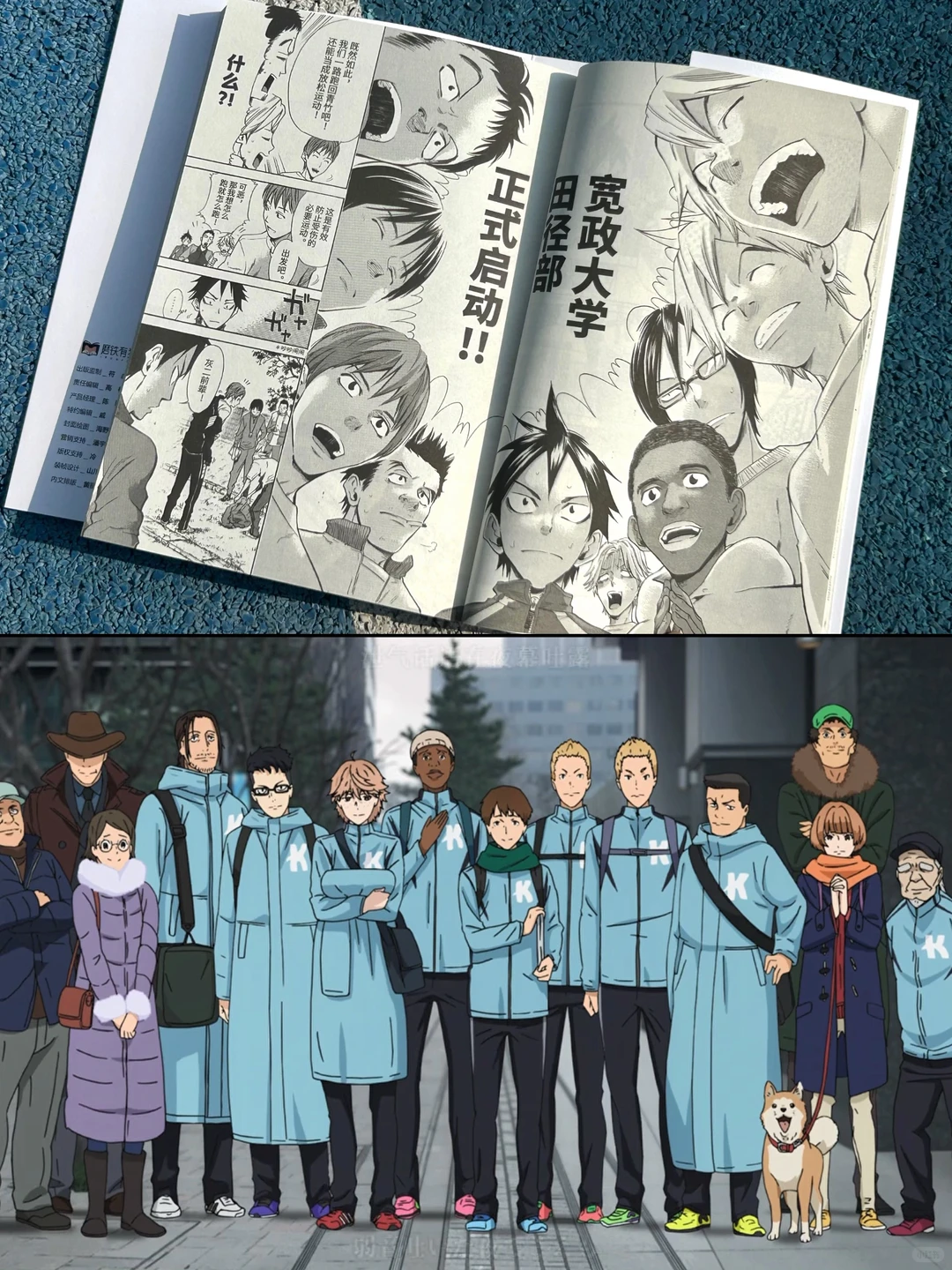 强风吹拂动画漫画人物对比图_简中版漫画上市