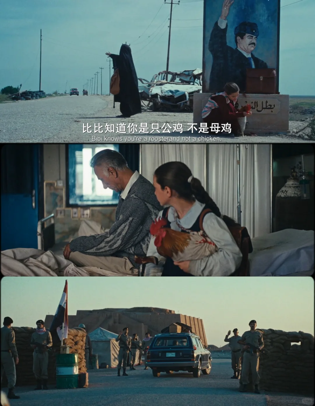 年度最佳电影《总统的蛋糕》深度解析：伊拉克版小鞋子催泪推荐 - ACGFav