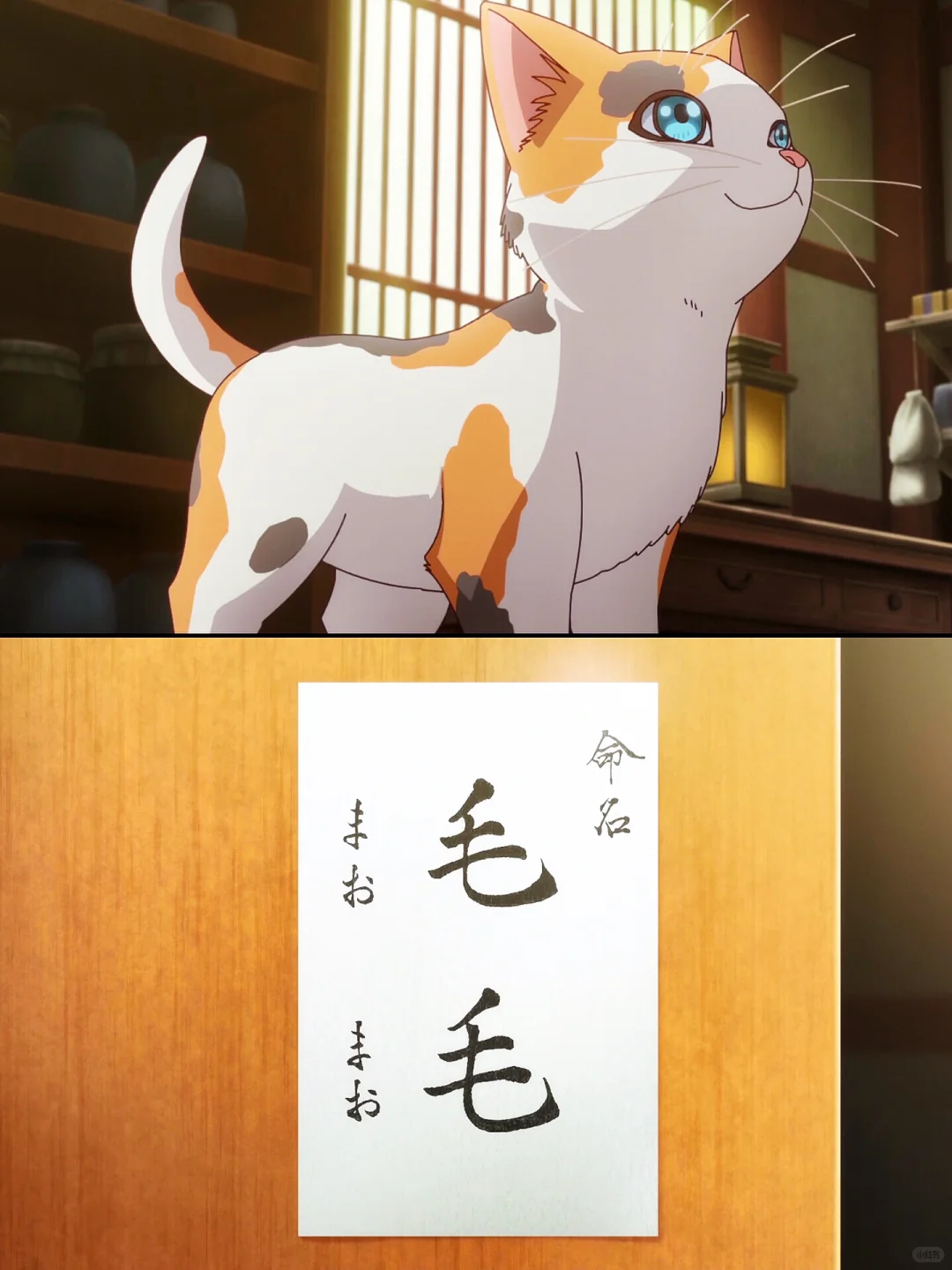 第二季开播！子翠登场！