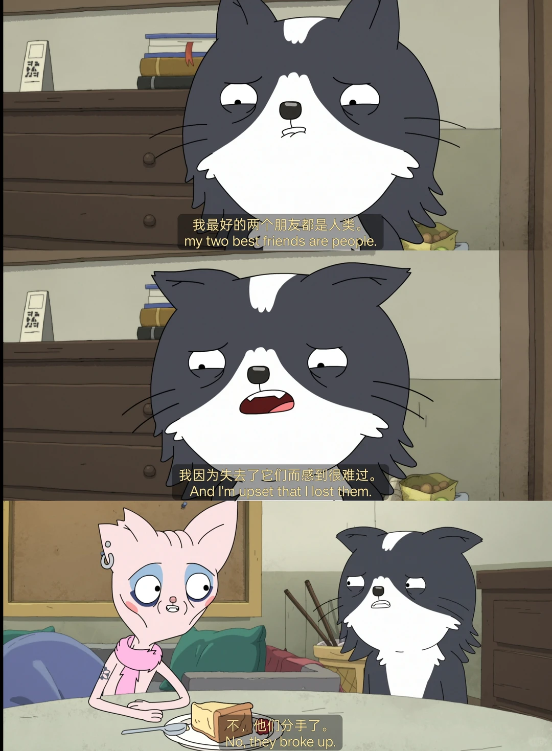 《凯文》动画深度解析：一只家猫的流浪与成人世界的孤独 - ACGFav