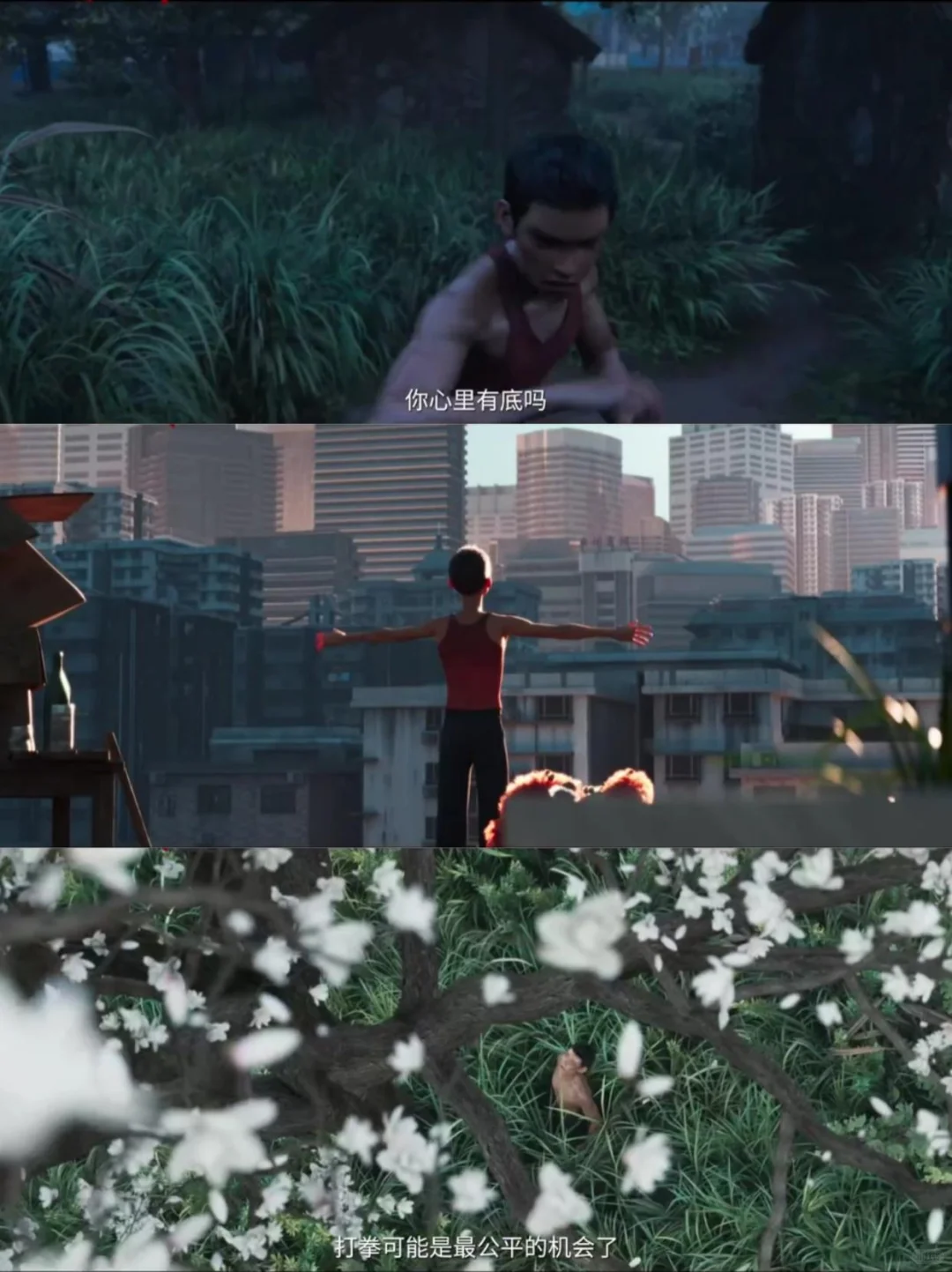 《雄狮少年2》争议中坚守热血,央视力挺的国漫新篇