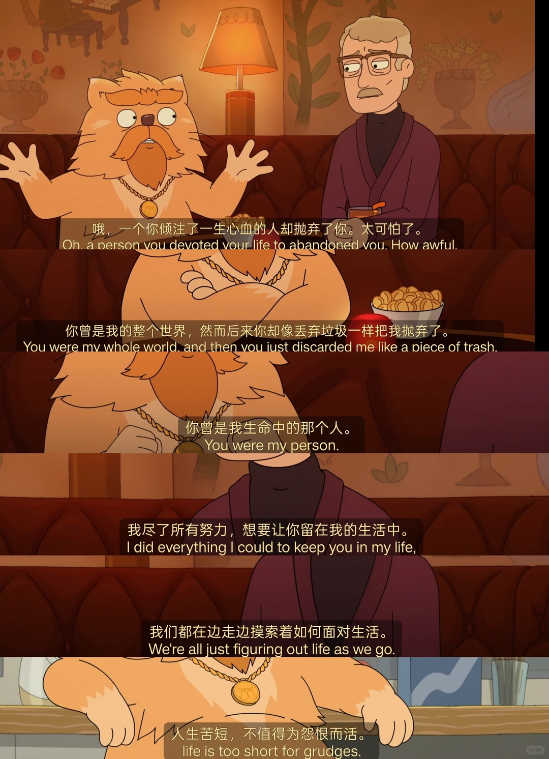 《凯文》动画深度解析：一只家猫的流浪与成人世界的孤独 - ACGFav