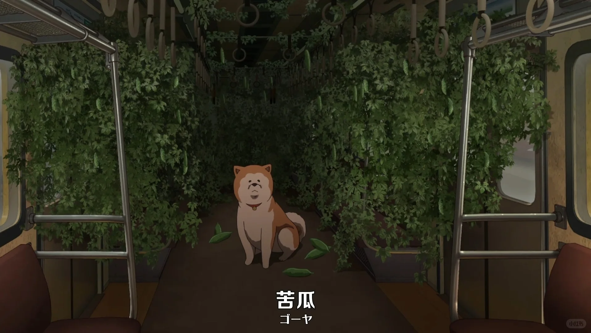 若叶睦的苦瓜种植日记：从MyGO到Ave Mujica的成长物语