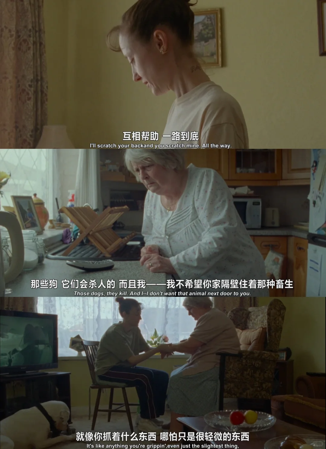 英国高分惊悚片《危情蜻蜓》深度解读：当温情邻里暗藏疑心，一老一少的友谊何以坠入人间地狱