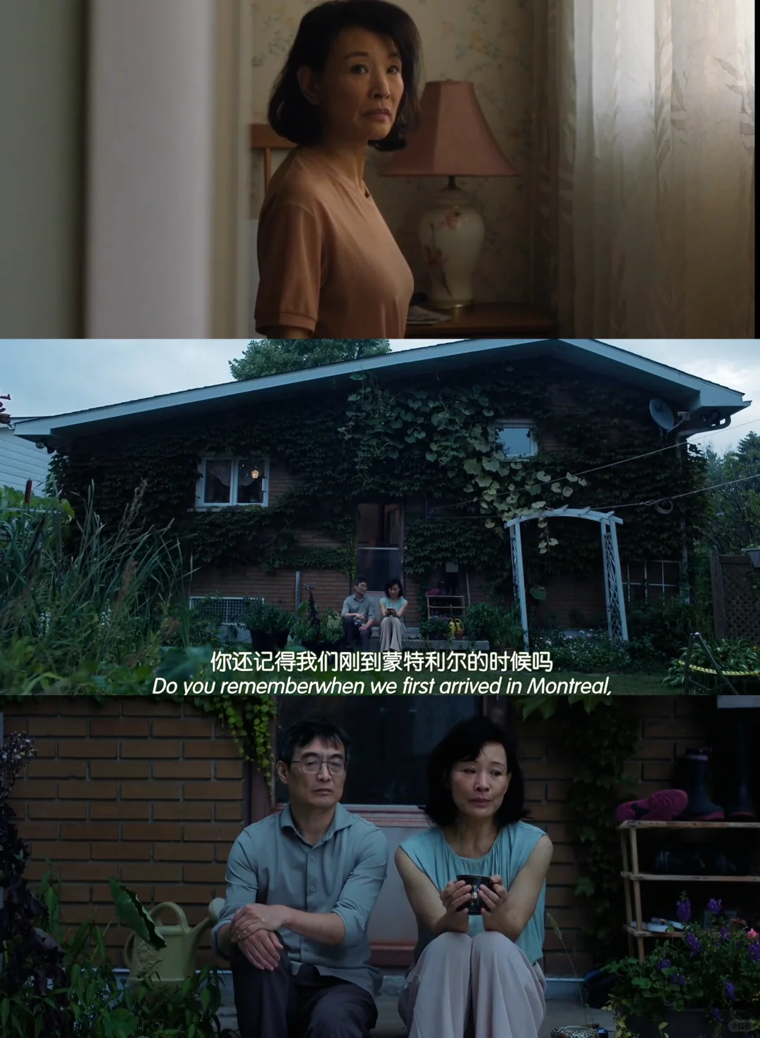 蒙特利尔我的美人深度解析：六场床戏如何见证女性觉醒与情欲解放 - ACGFav