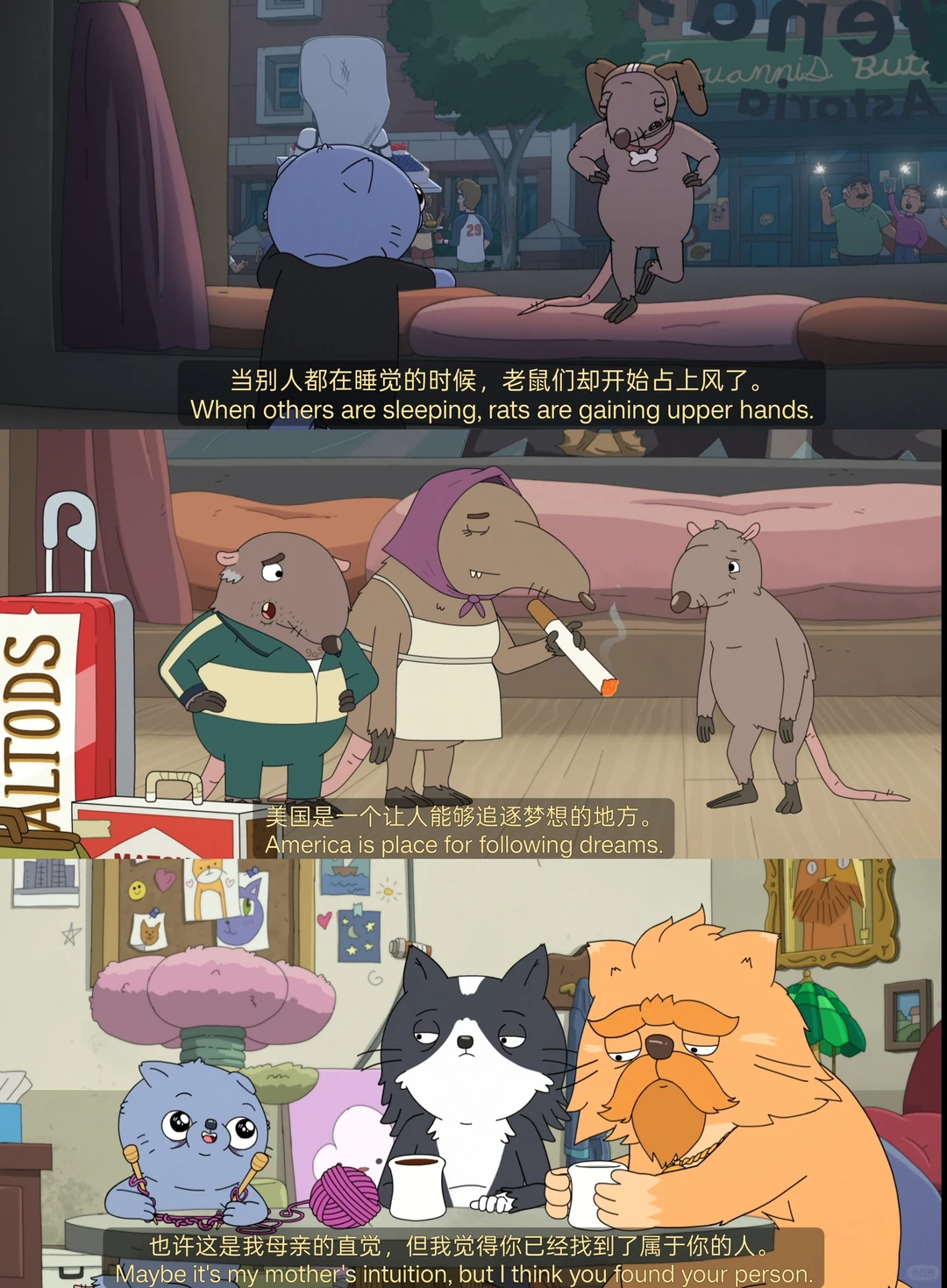 《凯文》动画深度解析：一只家猫的流浪与成人世界的孤独 - ACGFav