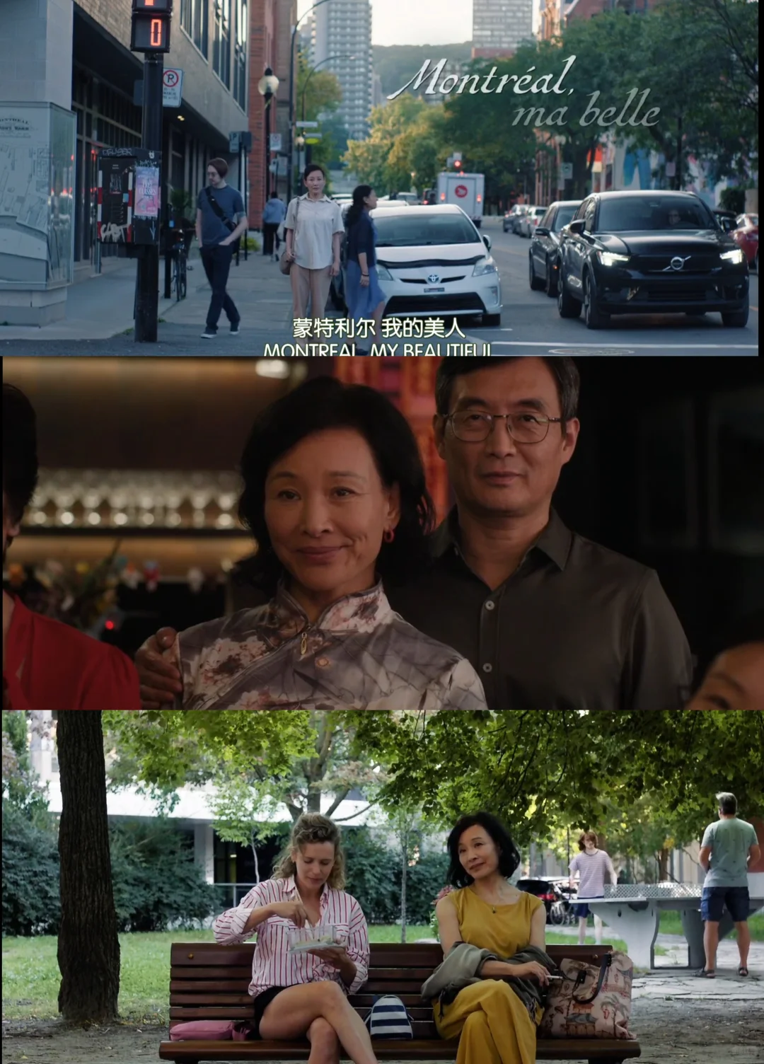 蒙特利尔我的美人深度解析：六场床戏如何见证女性觉醒与情欲解放 - ACGFav