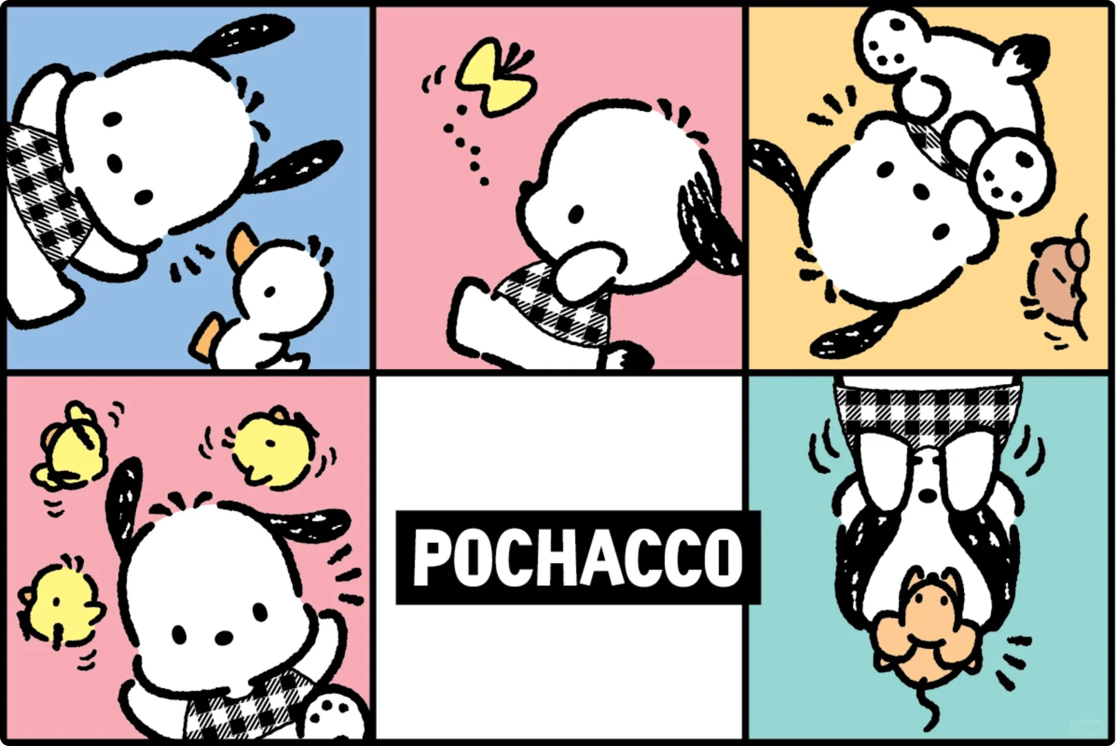 三丽鸥帕恰狗详细介绍：Pochacco的生日、性格与爱好 | ACGFav