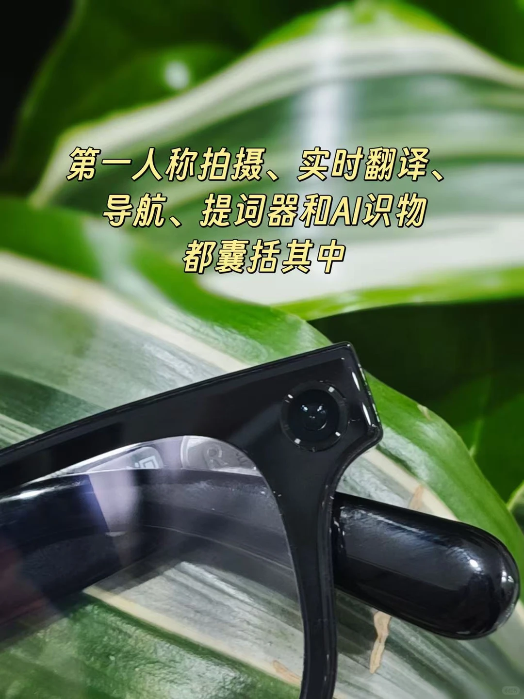 Rokid 乐奇 AI 眼镜深度解析：空中屏幕如何重塑日常交互