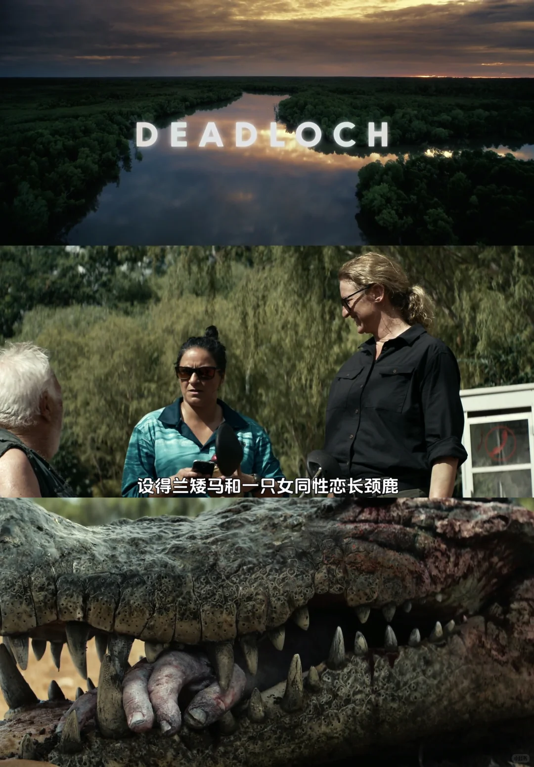 《戴洛奇小镇》第二季全集放出：女性主导疯批探案剧评 - ACGFav