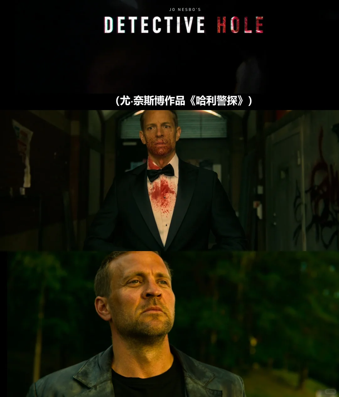奈飞《哈利警探》剧评：尤·奈斯博硬核犯罪悬疑神作，双男主心理惊悚巅峰 - ACGFav