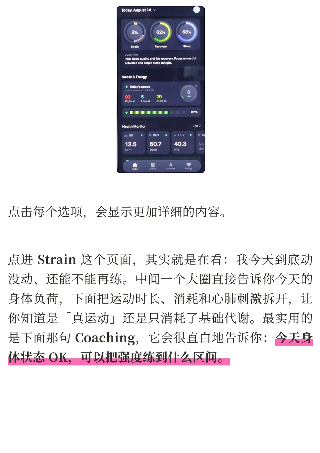 Bevel AI 评测：打通睡眠、运动与饮食，AI 如何让健康数据不再鸡肋