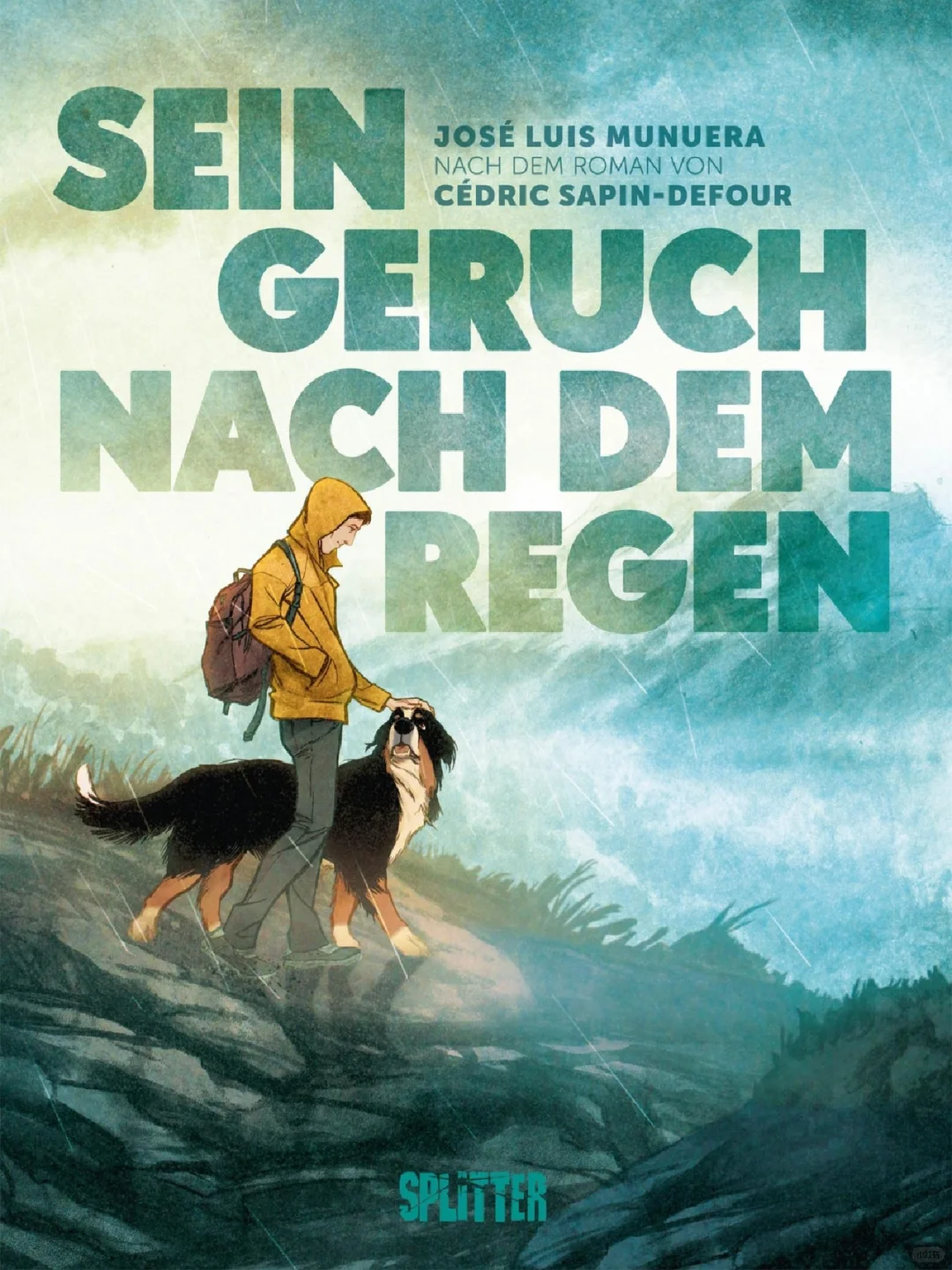 德语治愈漫画《雨后余息》：一首关于爱与失去的生命赞歌 - ACGFav