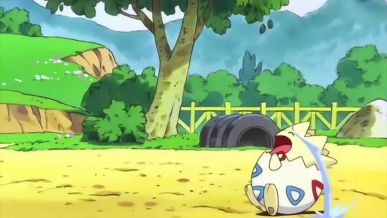 神奇宝贝波克比：团宠小天使的终极指南 🐣