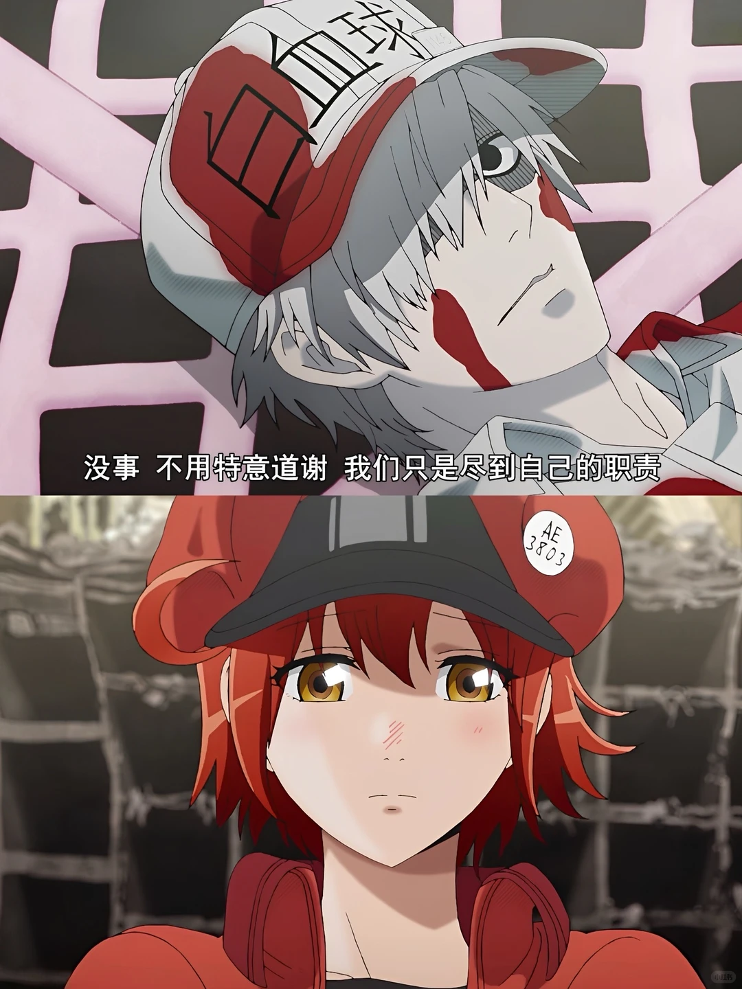 《工作细胞》动漫推荐：又帅又燃又好磕的健康科普神作