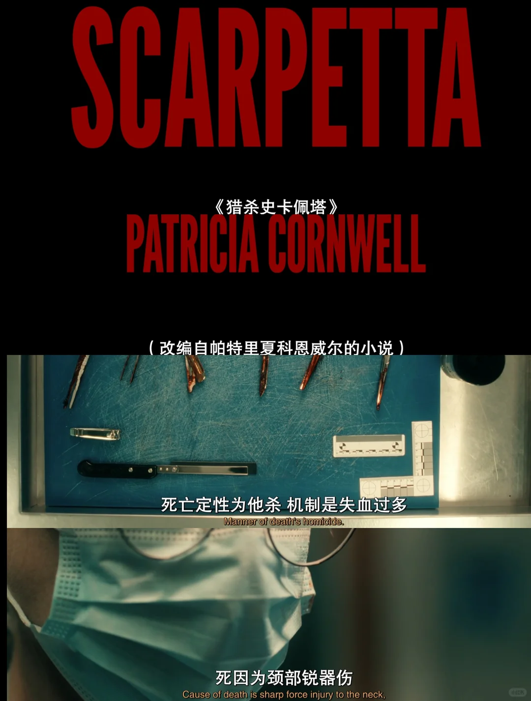 《首席女法医》美剧深度解析：妮可·基德曼主演犯罪惊悚新作 - ACGFav