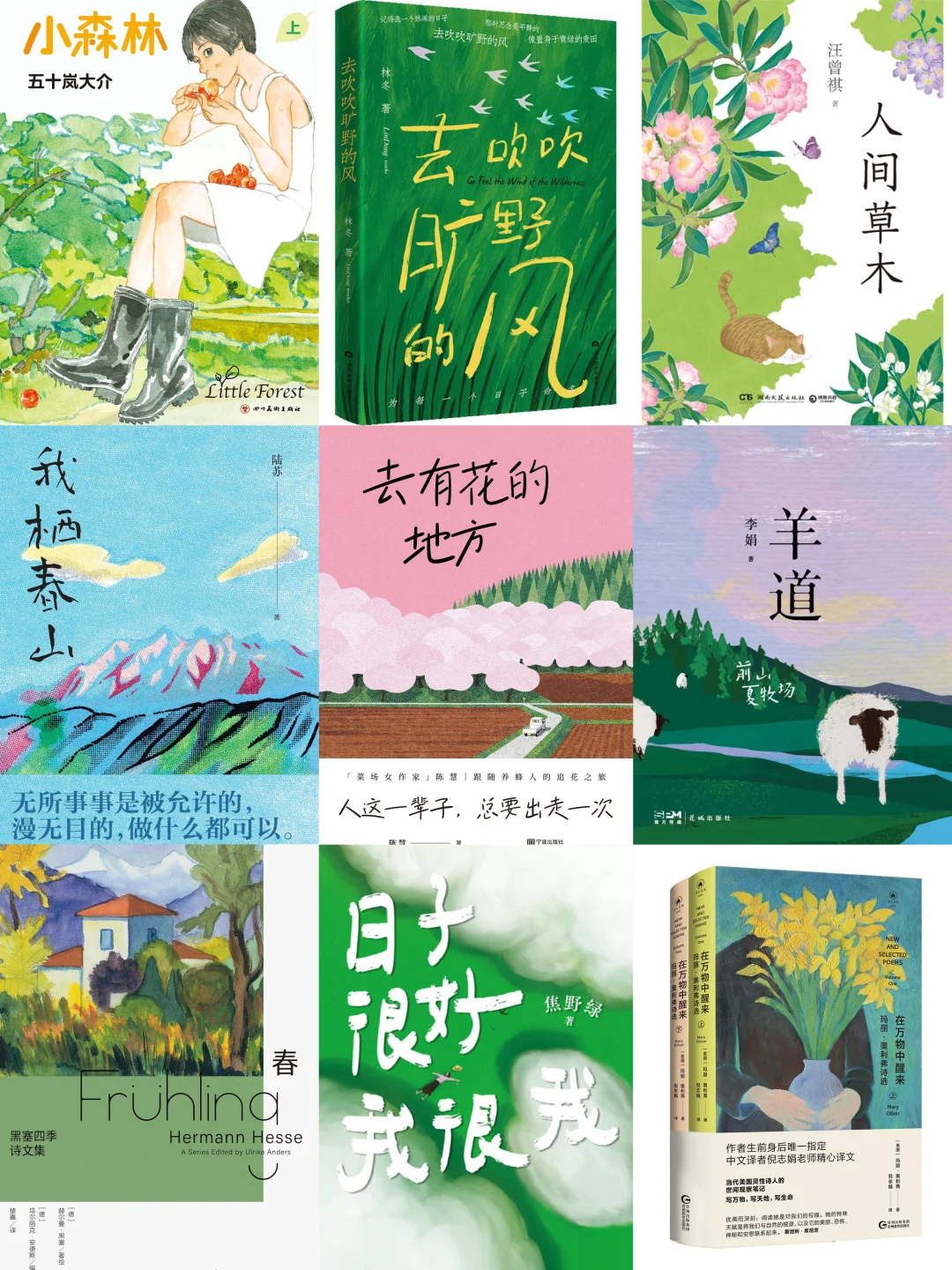春日治愈书单推荐：9本适合春天慢慢品读的好书 - ACGFav