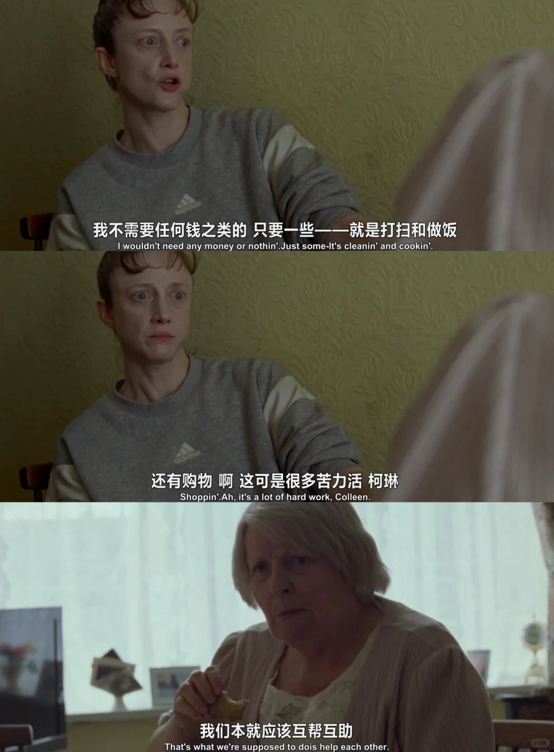 危情蜻蜓影评：英国高分惊悚片温情下的致命疑心 - ACGFav