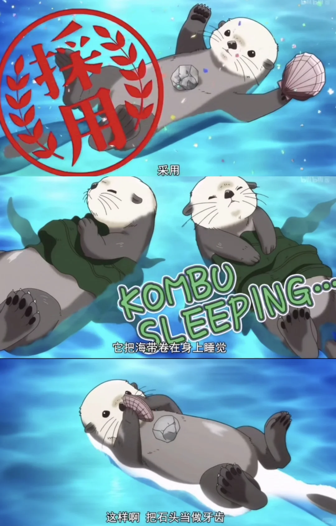天地创造设计部：最沙雕的科普番，脑洞生物设计爆笑推荐