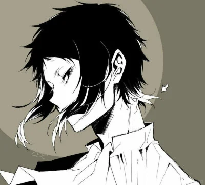 文豪野犬芥川龙之介角色介绍 - 异能罗生门