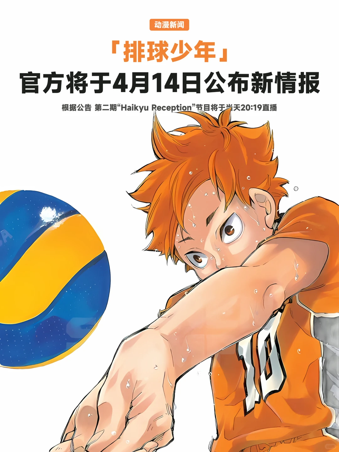 《排球少年！！》2026年4月14日重大情报直播预告！第二期节目即将开启