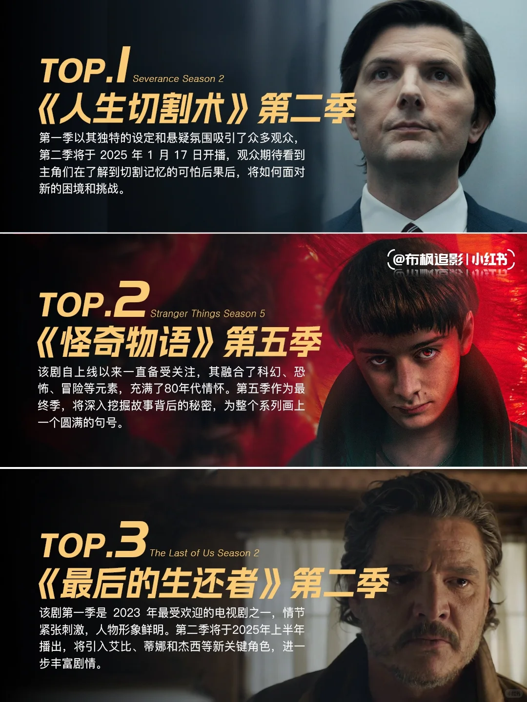 2025美剧续集推荐_人生切割术第二季_怪奇物语最终季_最后的生还者 - ACGFav