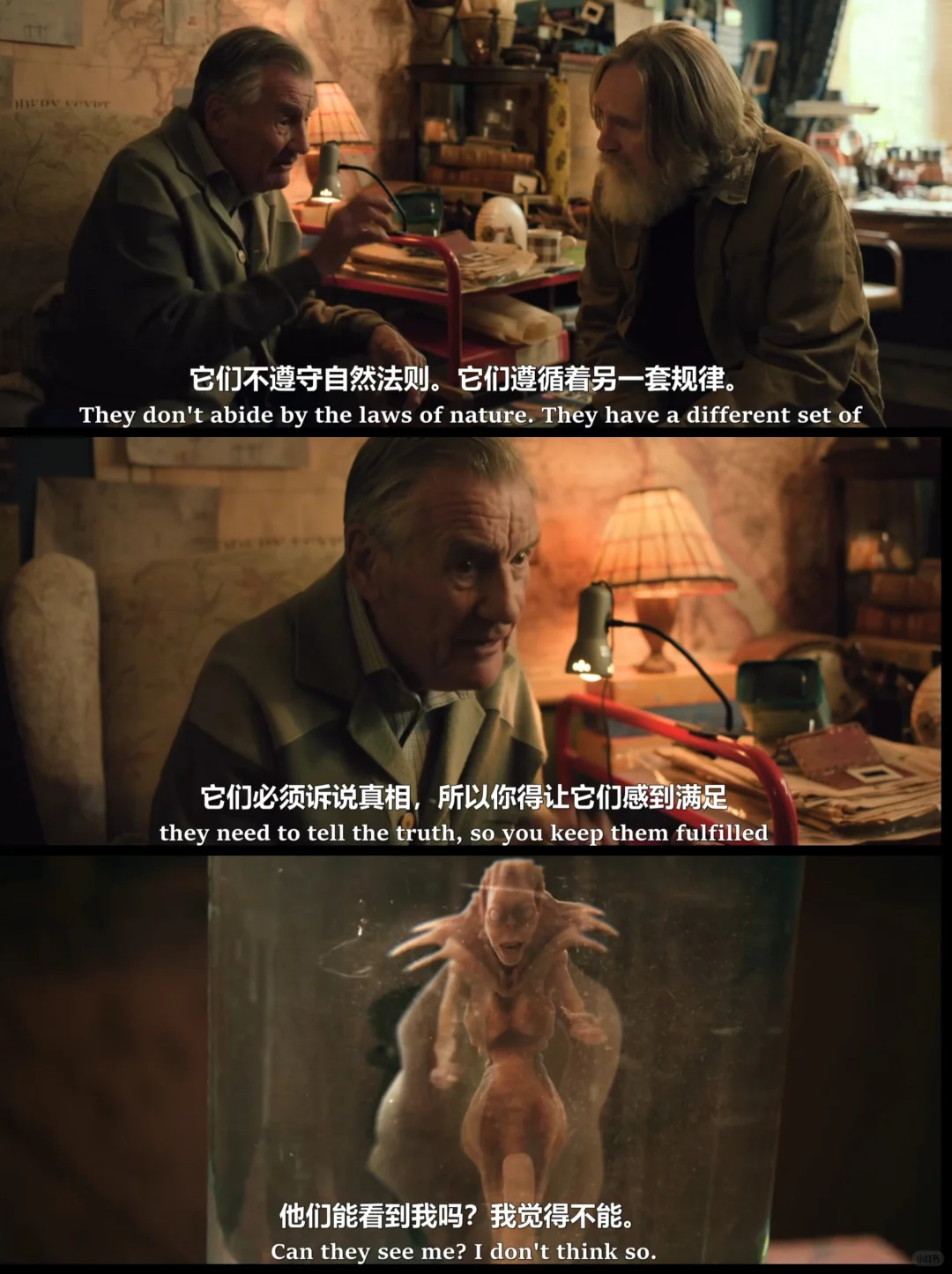 《小先知》英剧推荐：2026年必看奇幻温情神剧 - ACGFav
