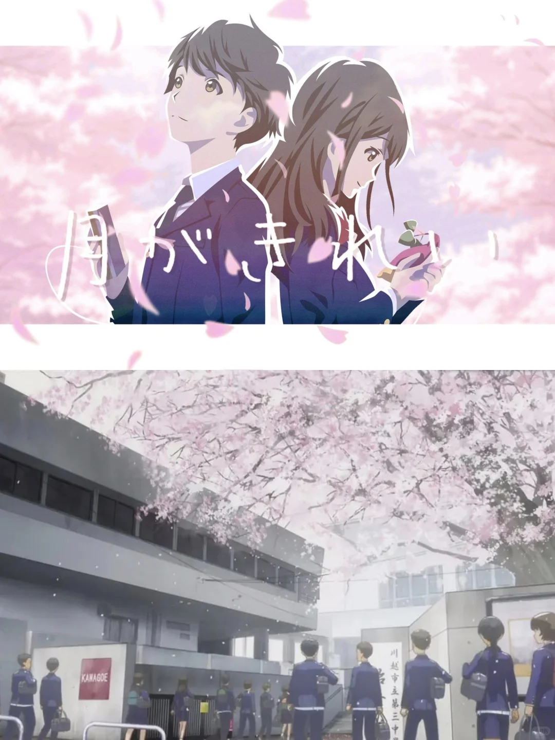 豆瓣9.1分纯爱神作《月色真美》｜青春恋爱的天花板推荐