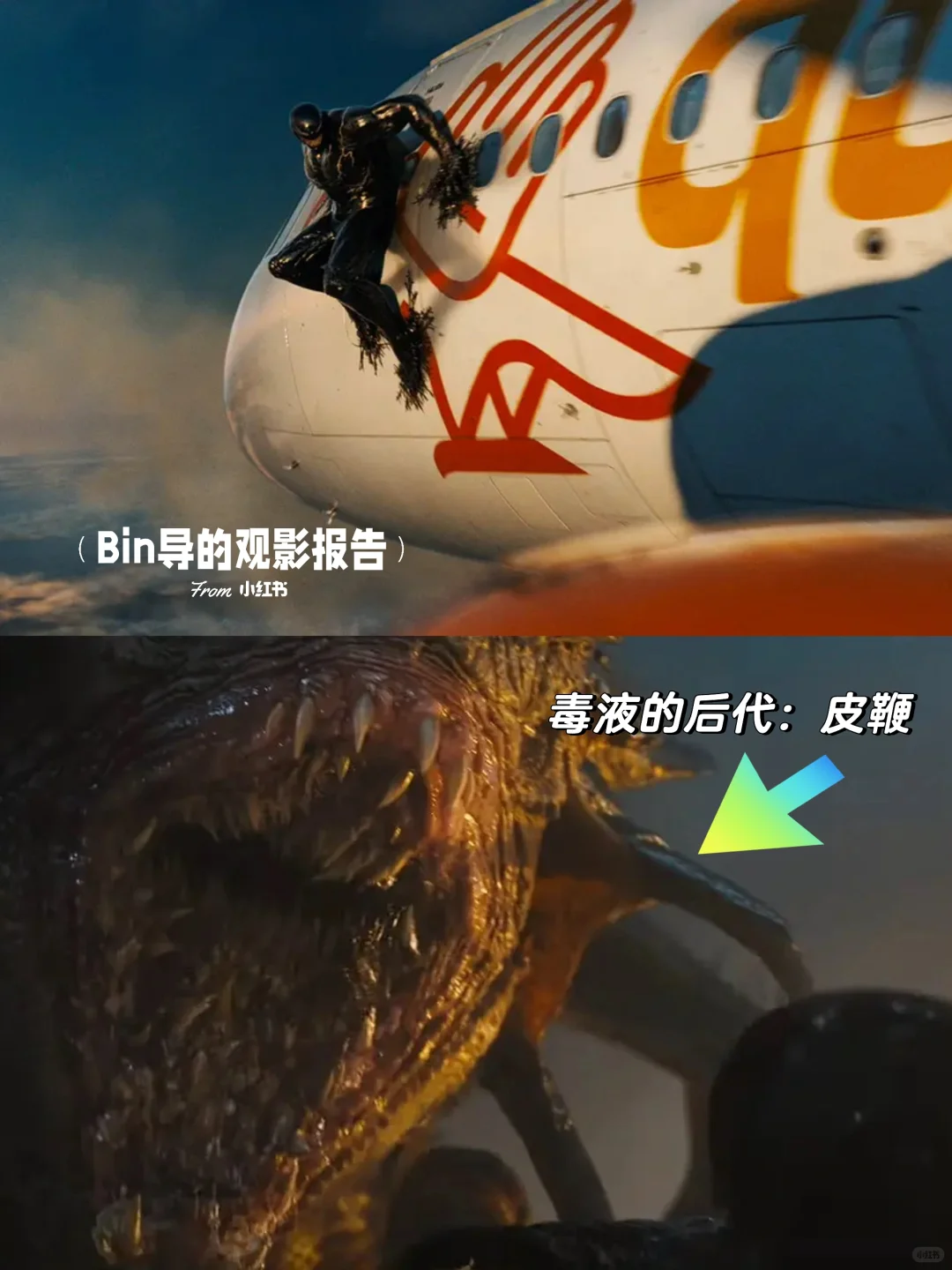 《毒液3：最后一舞》定档10月25日，预告解析与角色科普 - ACGFav