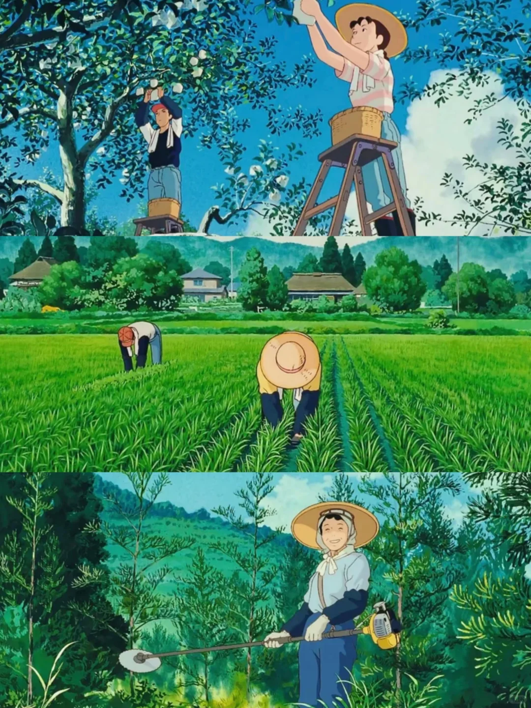 治愈动漫推荐：温暖心灵的经典动画列表